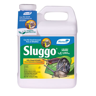 Sluggo&reg; &ndash; 10 Lb. Insecticides