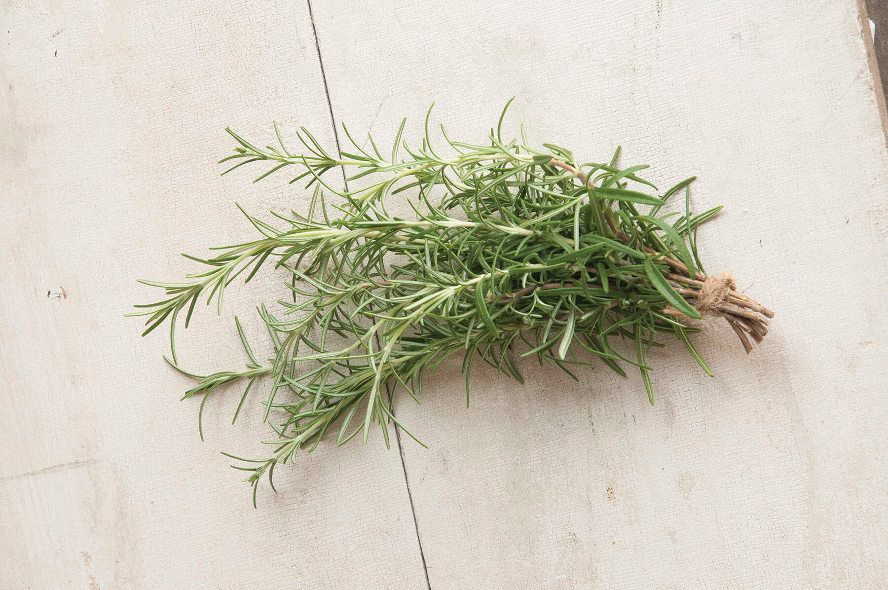 Rosemary Rosemary