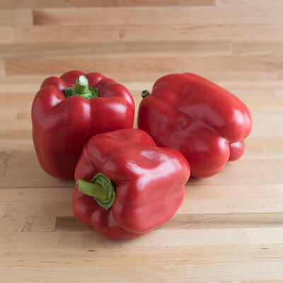 X3R&reg; Red Knight Sweet Bell Peppers