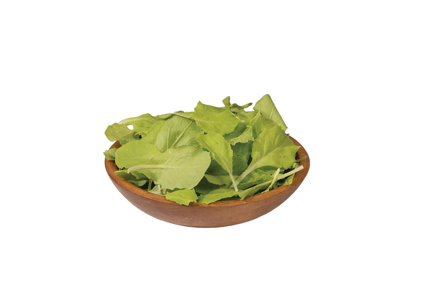 Tokyo Bekana Chinese Cabbage