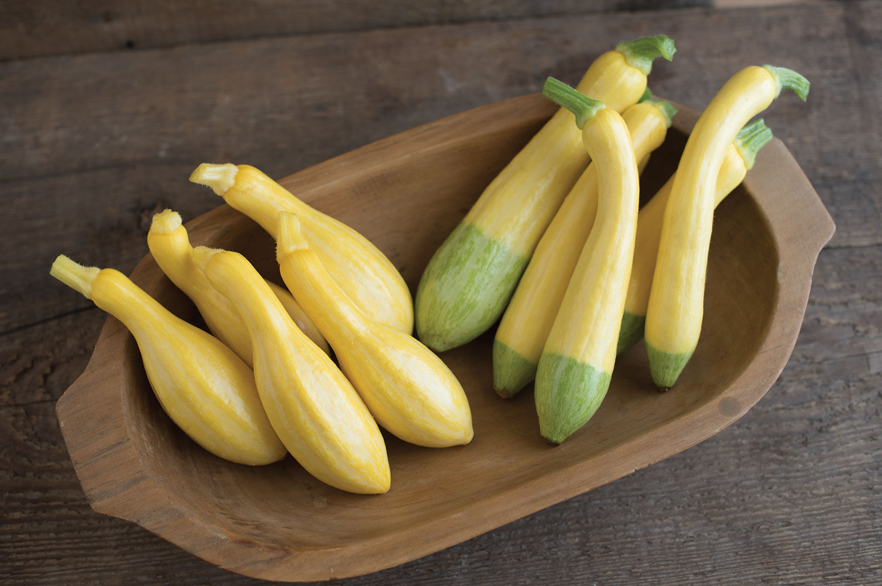 Specialty Summer Squash Set Sets