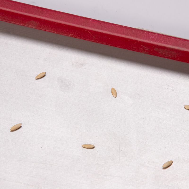 Seed Plate E72 Seed Starting Supplies