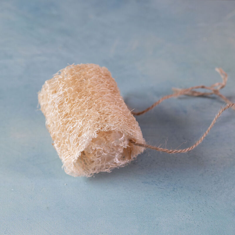 Luffa Gourd Gourds