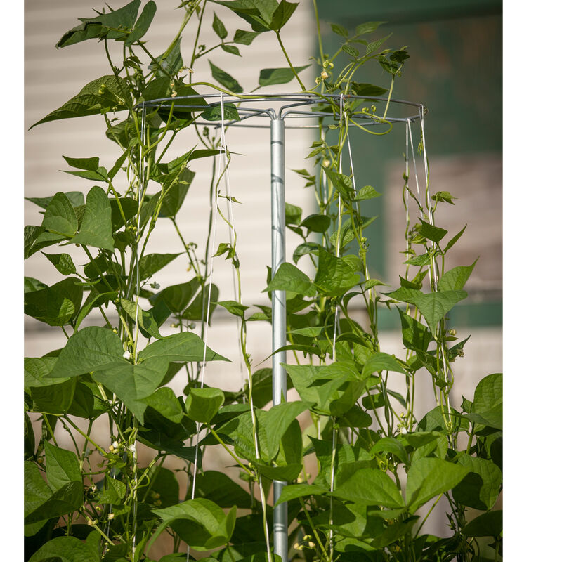Bean Tower &ndash; 60" Cages & Fences