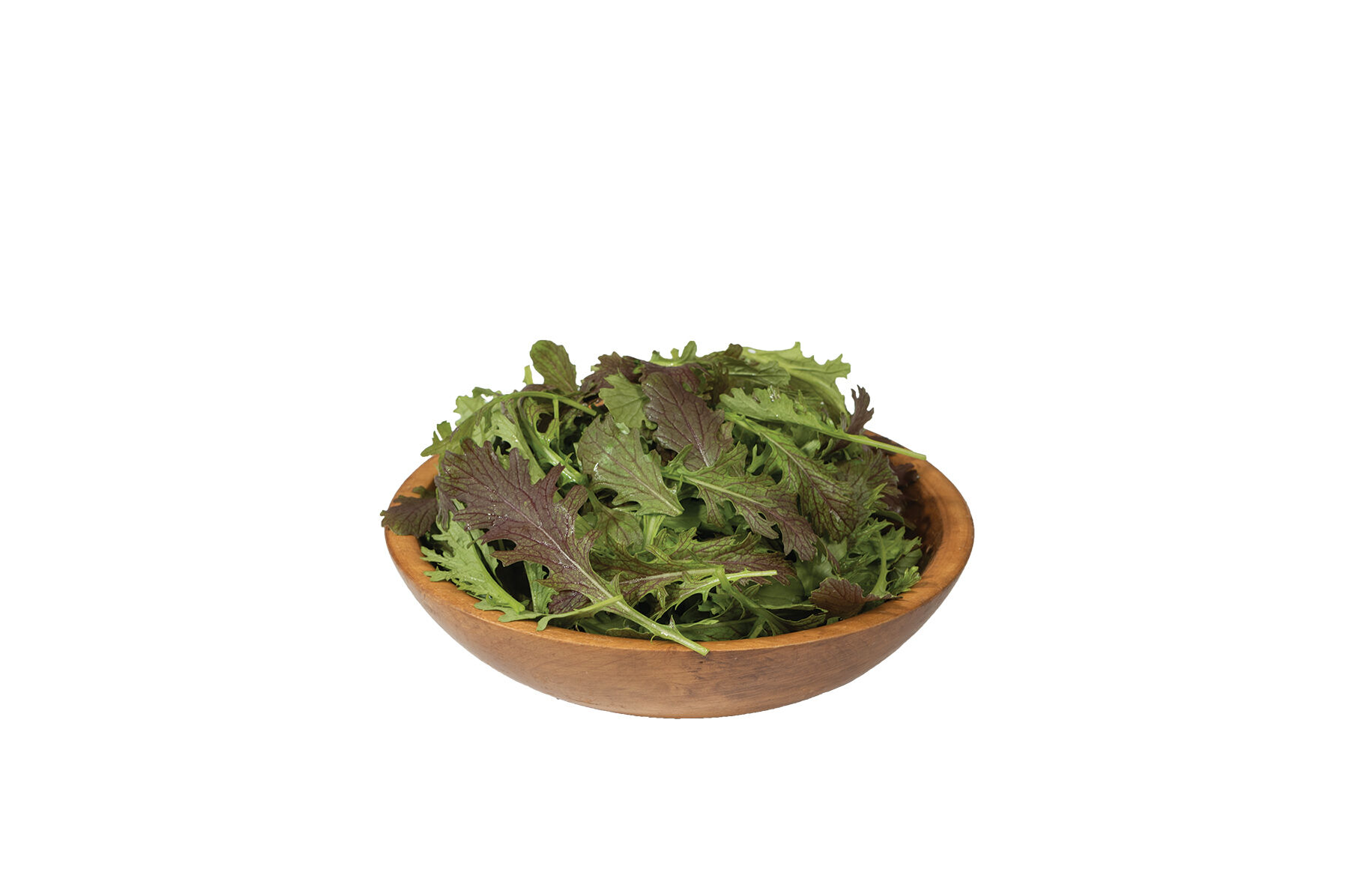 Red Splendor Mustard Greens