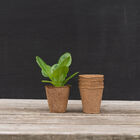 2 1/3" Round Fertil Pots &ndash; 160 Count Biodegradable Pots