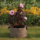 Smart Pot&reg; Natural &ndash; 30 Gal. Grow Bags