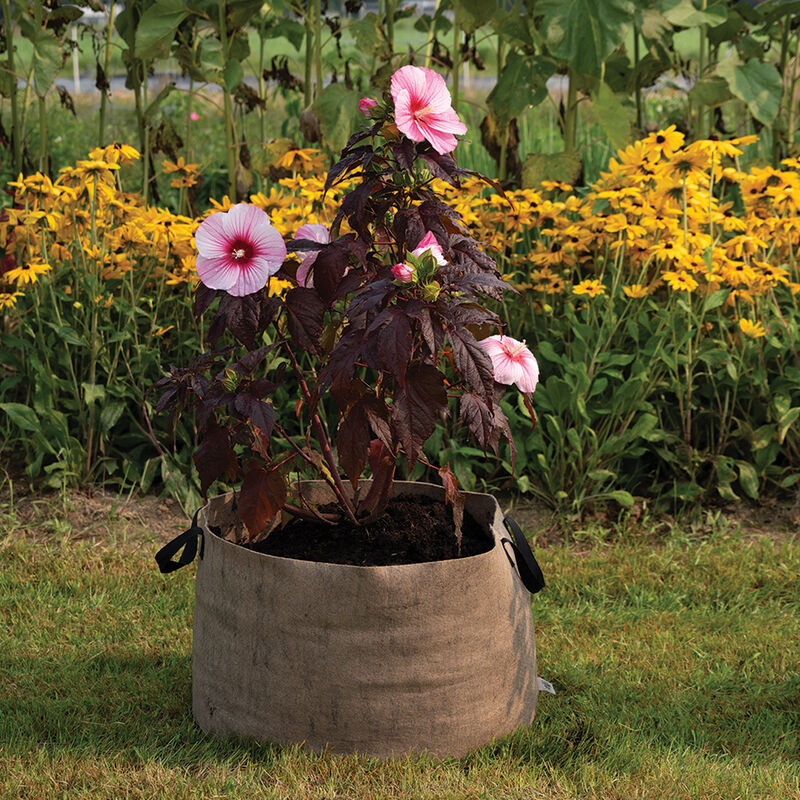 Smart Pot&reg; Natural &ndash; 30 Gal. Grow Bags