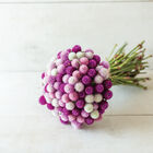 QIS&trade; Formula Mix Gomphrena (Globe Amaranth)