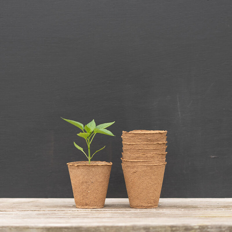 4" Round Fertil Pots &ndash; 50 Count Biodegradable Pots