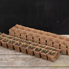 20 Cell Fertil Pots Strip &ndash; 10 Count Biodegradable Pots