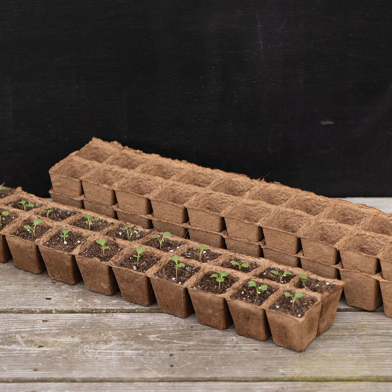 20 Cell Fertil Pots Strip &ndash; 10 Count Biodegradable Pots