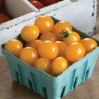 Yellow Mini Cherry Tomatoes