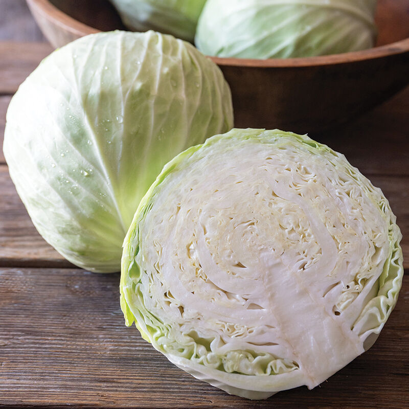 Botran Fresh Market Cabbage