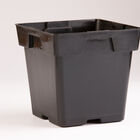 Jumbo Square Plastic Pots &ndash; 200 Count Plastic Pots