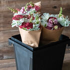 Florida Container &ndash; 25 cm Florida Series