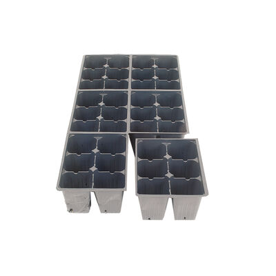 Jumbo Plug Inserts &ndash; 5 Count Cell Flats