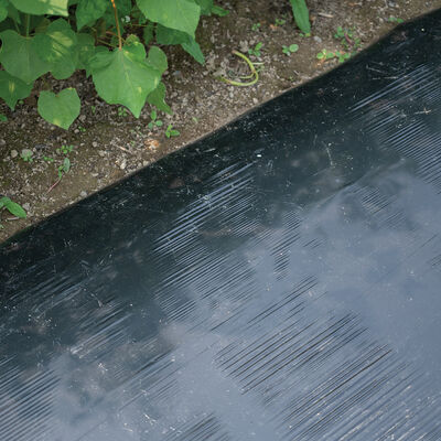 Solar Shrink&reg; &ndash; 4' x 4,000' Mulch Films