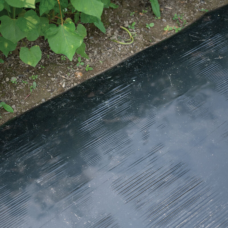 Solar Shrink&reg; &ndash; 4' x 4,000' Mulch Films