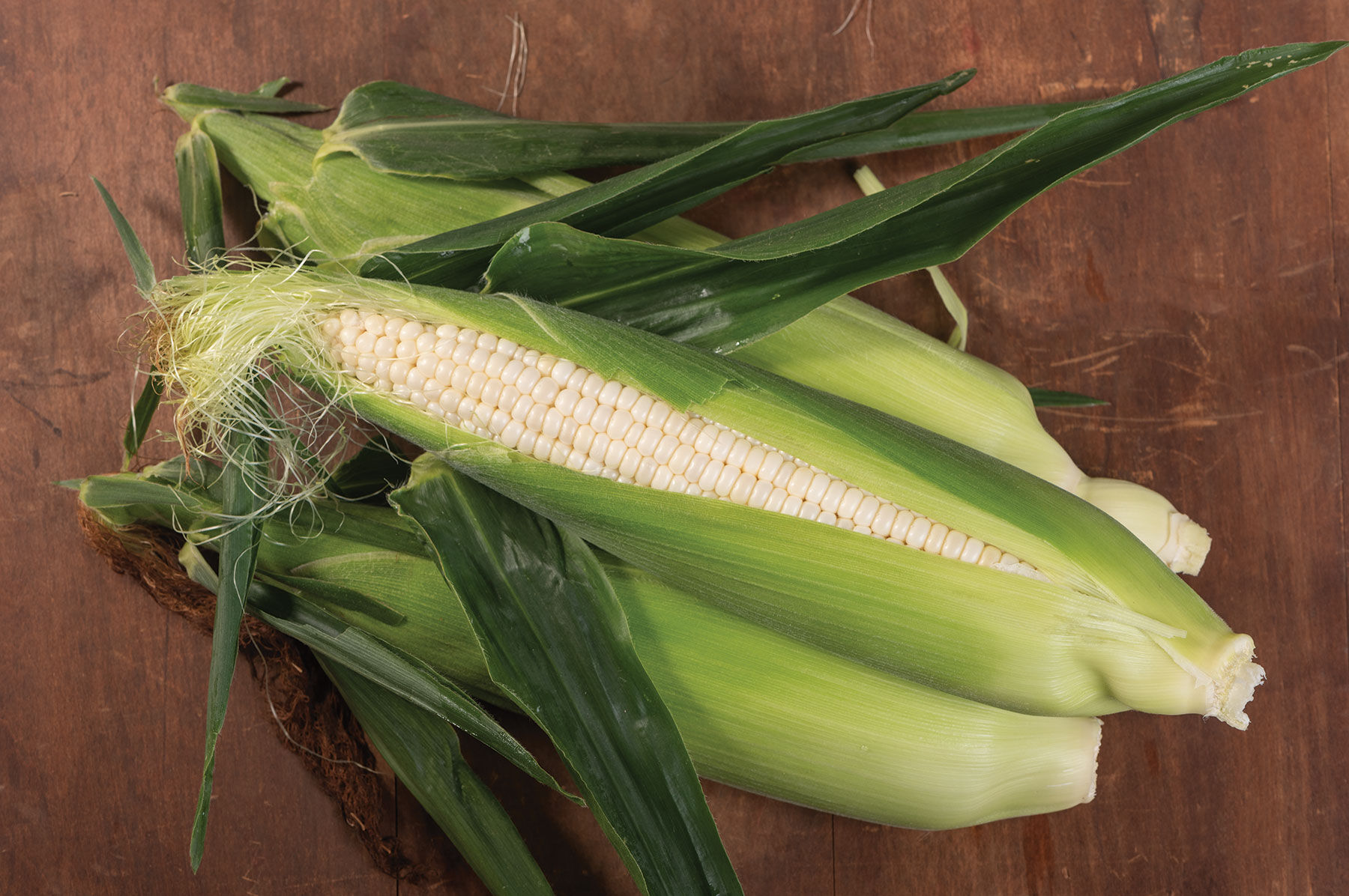 Illusion Sweet Corn