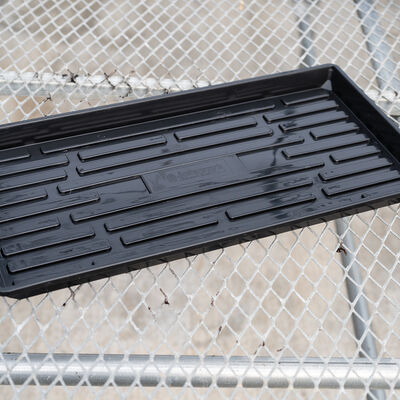 Polypro Shallow Tray (No Holes), Black &ndash; 4 Count Support Trays