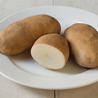 Caribou Russet &ndash; Early Ship Potatoes