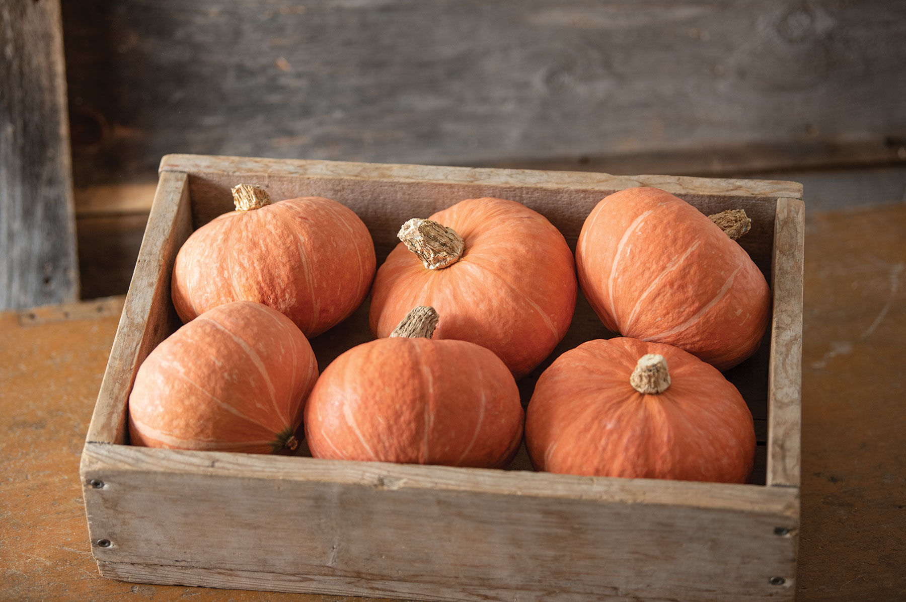 Marmalade Winter Squash