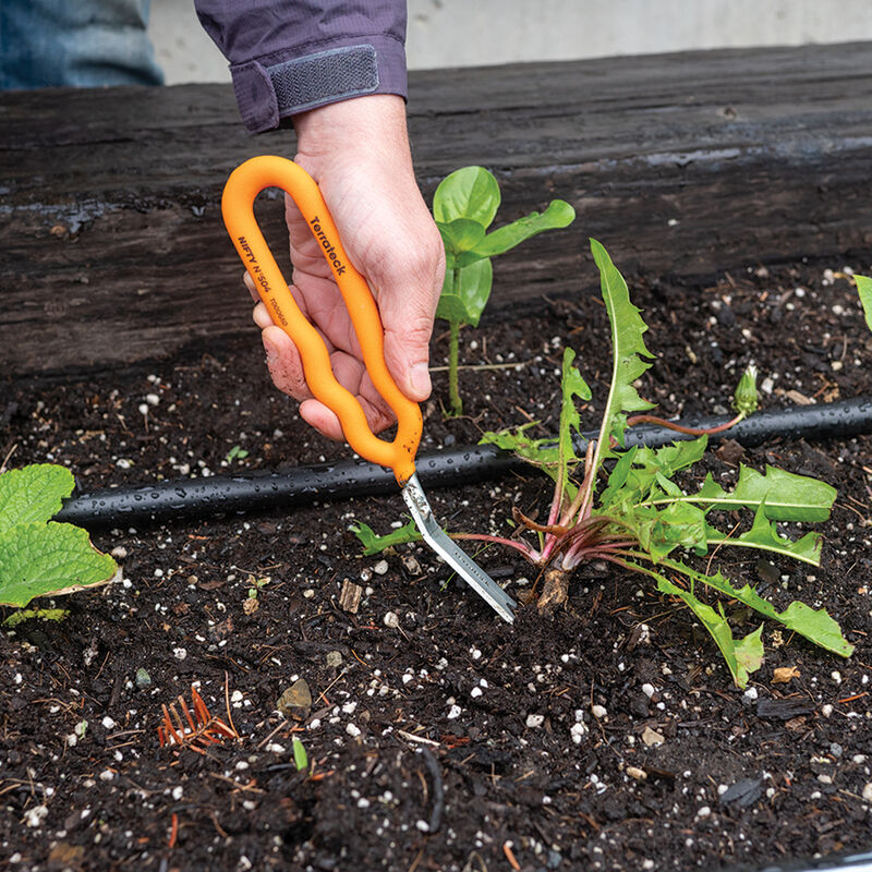Nifty Weeder &ndash; N504 Weeders and Cultivators