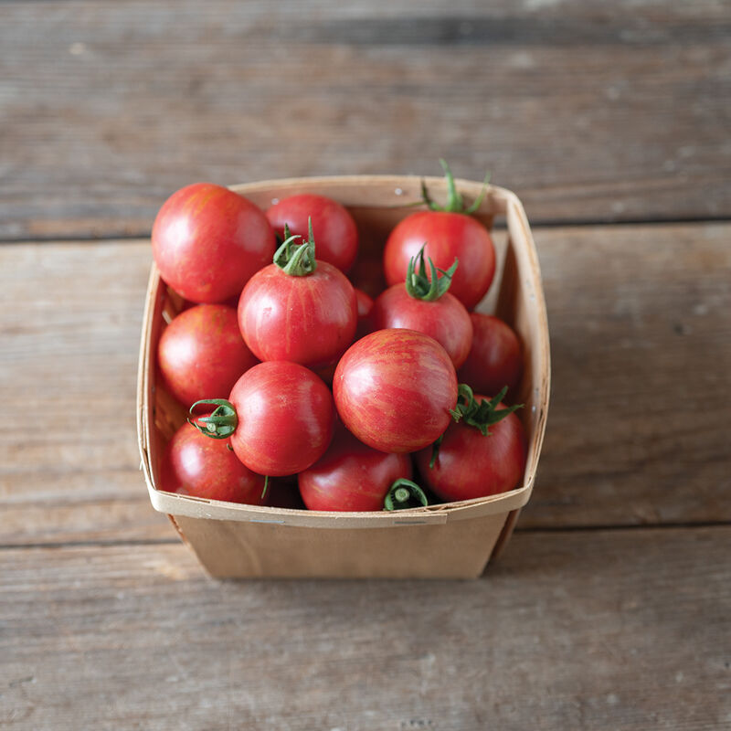 Queen Bee Cherry Tomatoes