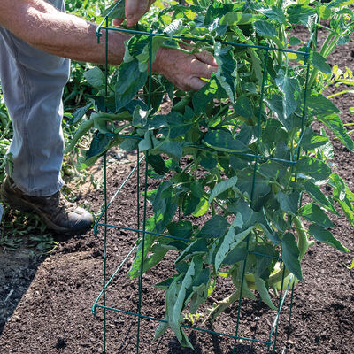 Tomato Cages, Green &ndash; 48" Cages & Fences
