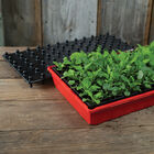 Air Pruning Starter Kit Seed Starter Kits