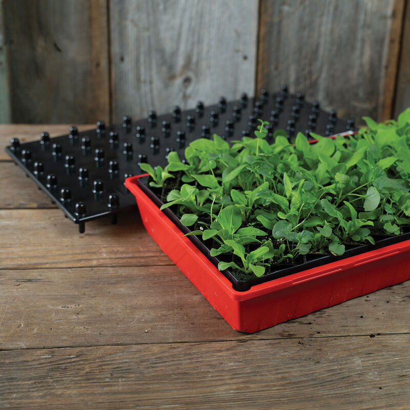 Air Pruning Starter Kit Seed Starter Kits