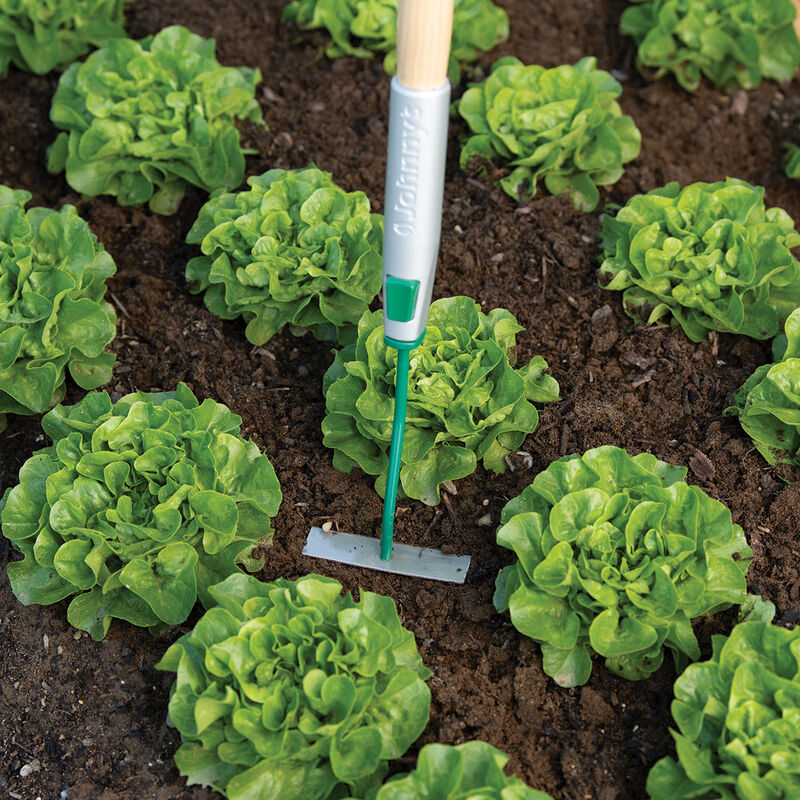 Connecta&reg; Cultivation Kit Hoes & Cultivators