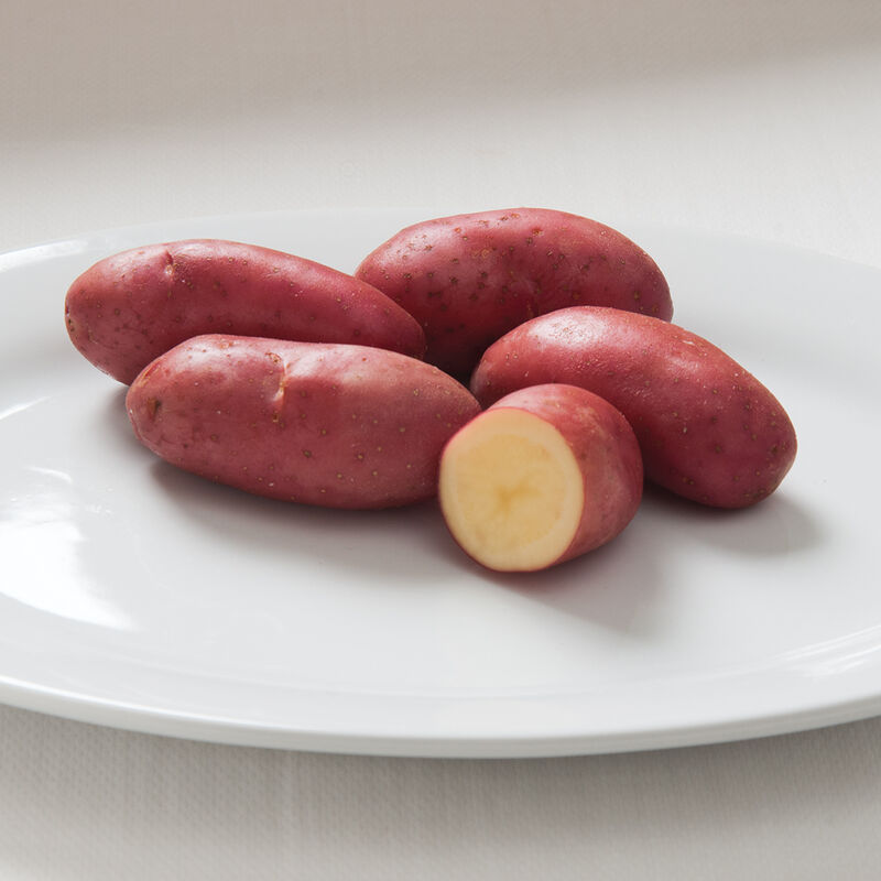 French Fingerling &ndash; Early Ship Potatoes
