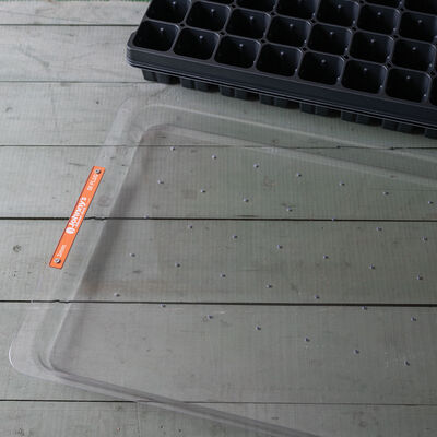 50-Hole Tray for Plug Trays &ndash; 3 mm Holes Drop Seeders