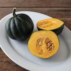 Honey Bear Winter Squash