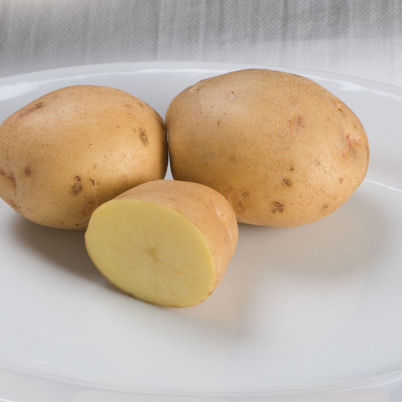 Yukon Gold &ndash; Early Ship Potatoes