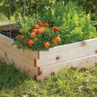 Cedar Raised Garden Bed &ndash; 3' x 6' Raised Beds & Planters