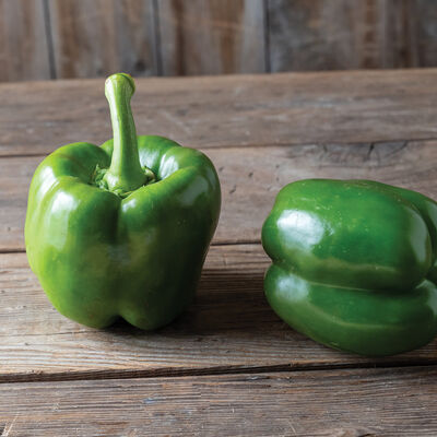Huntington Sweet Bell Peppers