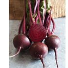Babybeat Round Red Beets