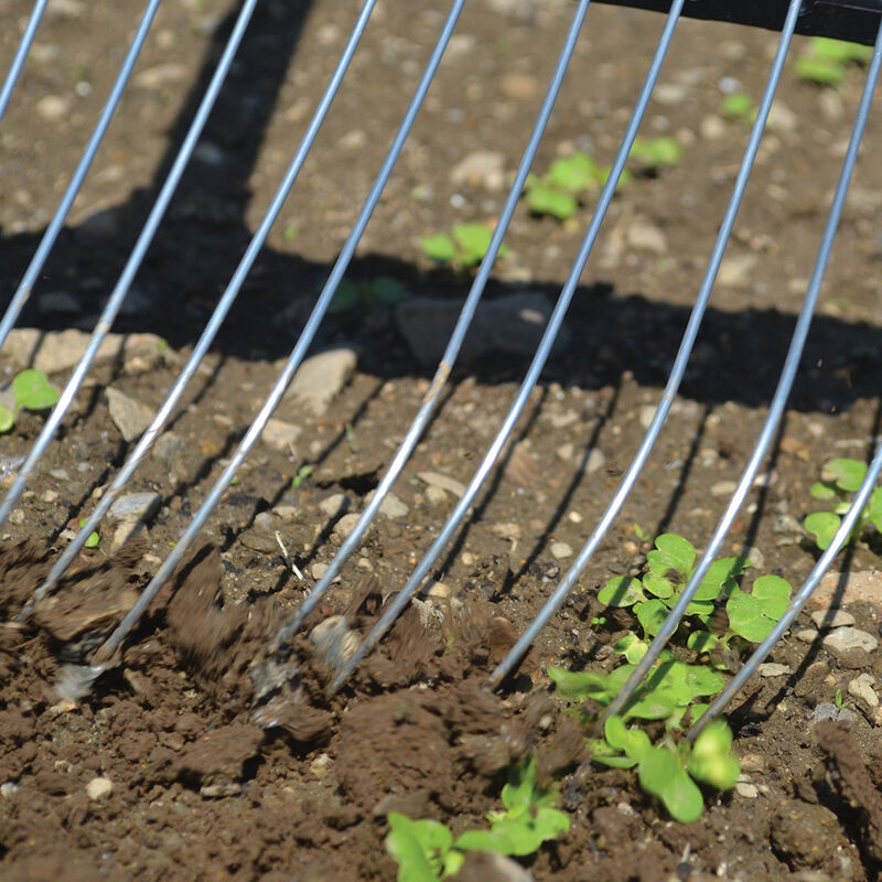 Tine Weeding Rake &ndash; 9" Hoes & Cultivators