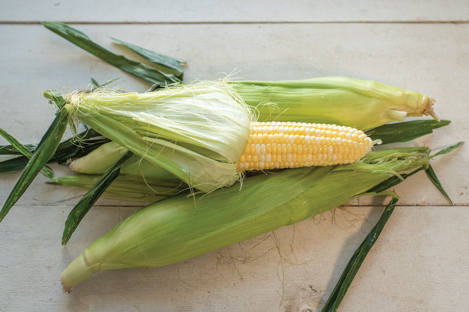Essence Sweet Corn