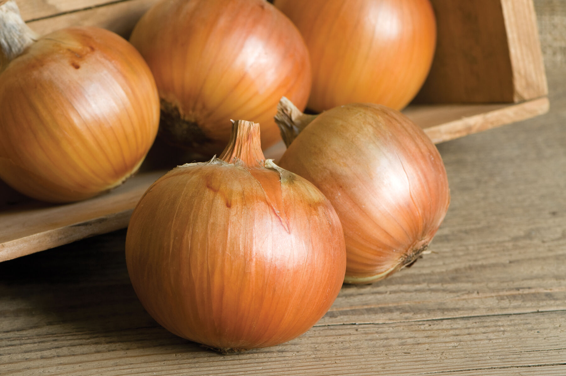 Patterson Onions