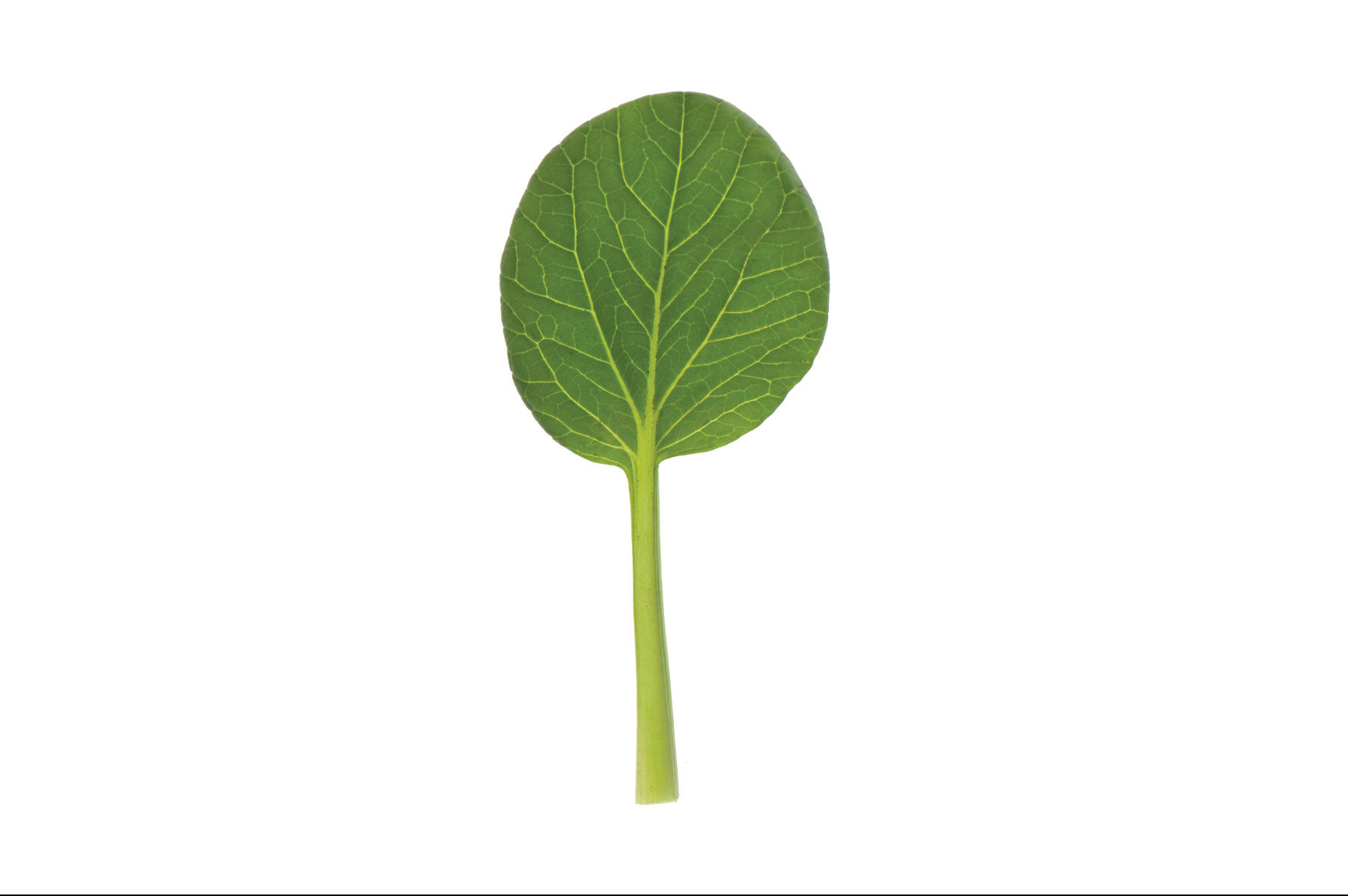 Koji Asian Greens
