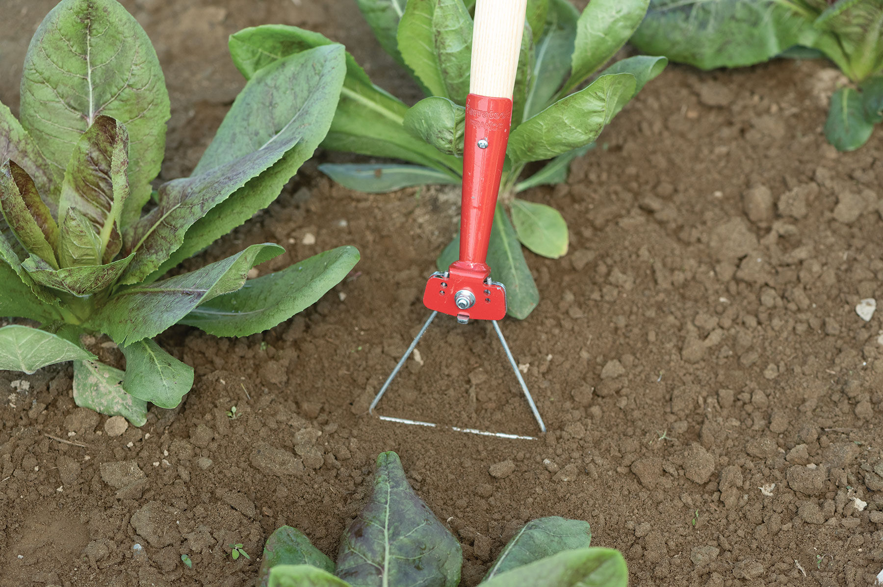 Delta Wire Hoe Weed Control