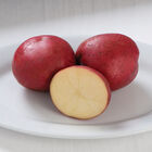 Dark Red Norland &ndash; Early Ship Potatoes