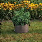 Smart Pot&reg; Natural &ndash; 15 Gal. Grow Bags