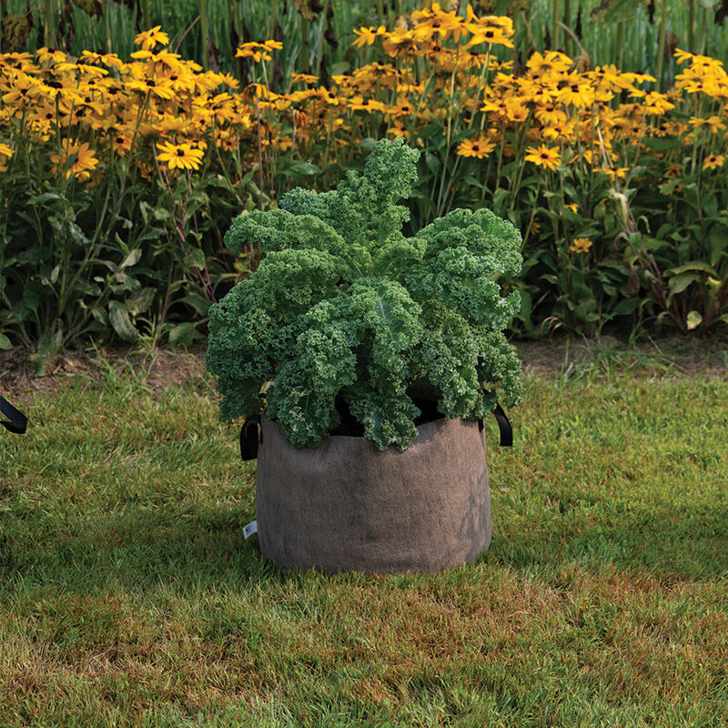 Smart Pot&reg; Natural &ndash; 15 Gal. Grow Bags
