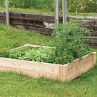 Cedar Raised Garden Bed &ndash; 4' x 4' Raised Beds & Planters