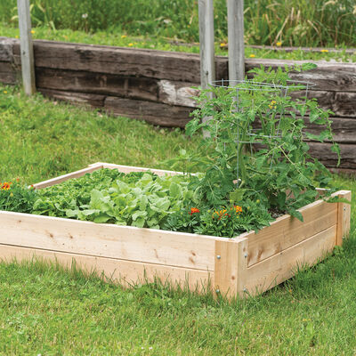 Cedar Raised Garden Bed &ndash; 4' x 4' Raised Beds & Planters
